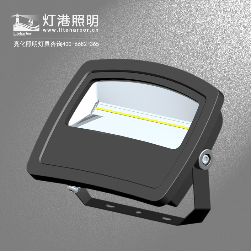 DG5209-LED投光燈專(zhuān)業(yè)廠(chǎng)家