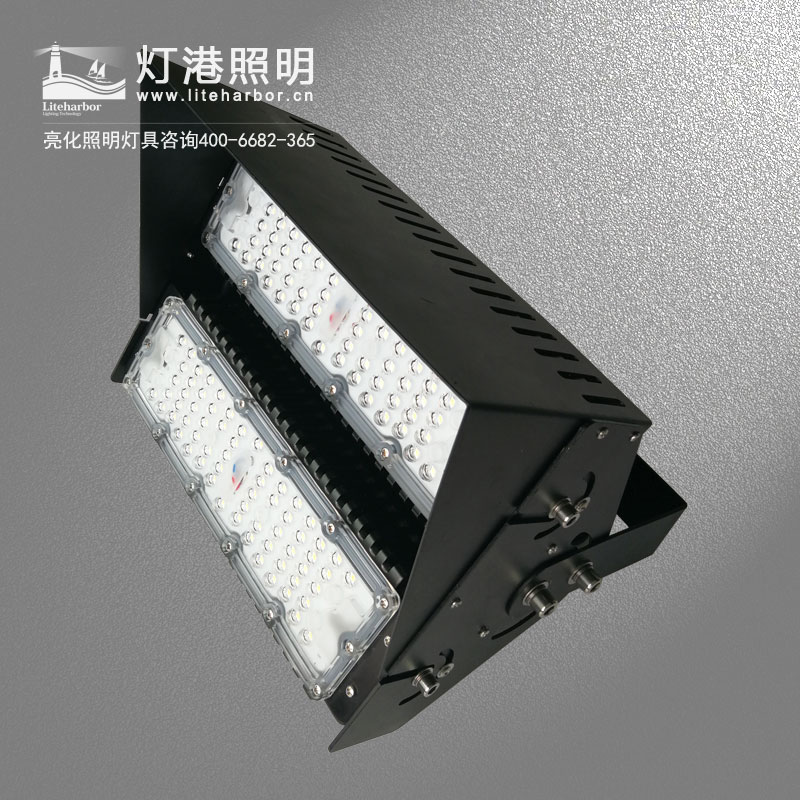 DG5205-LED投光燈廠(chǎng)家 戶(hù)外投光燈專(zhuān)業(yè)定製