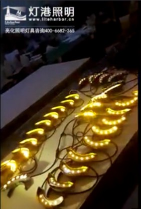 戶(hù)外大功率防水園林綠化景觀(guān)亮化led瓦楞燈廠(chǎng)家 燈港照明